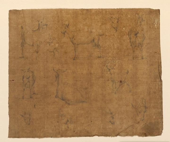 Etudes de chèvres, Lancelot Théodore Comte de Turpin De Crisse, 1ère moitié 19e siècle
