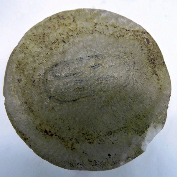 Vase à onguent et couvercle au nom de la reine Tiyi_4