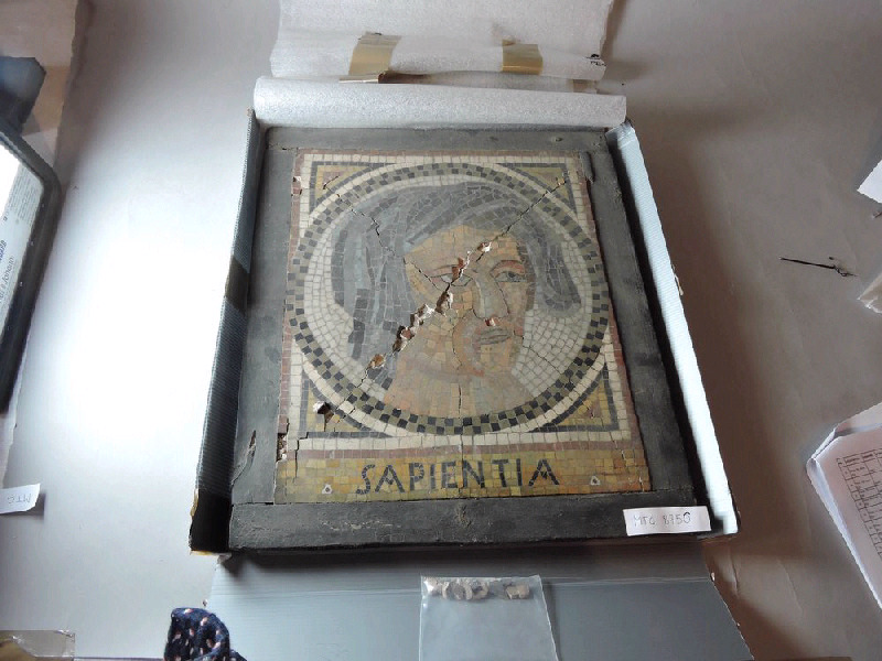 Fragment de mosaïque "Sapienta"_1