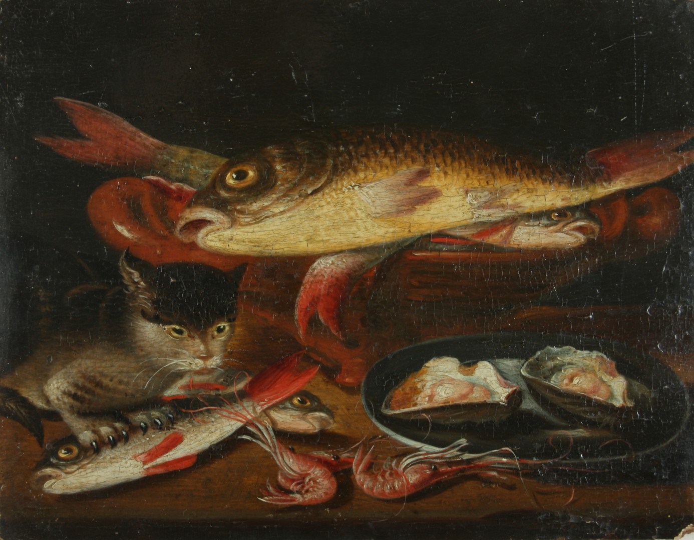 Poissons, crevettes, huîtres et chat sur une table, Alexander van Adriaenssen, 17e siècle, 1ère moitié 17e siècle