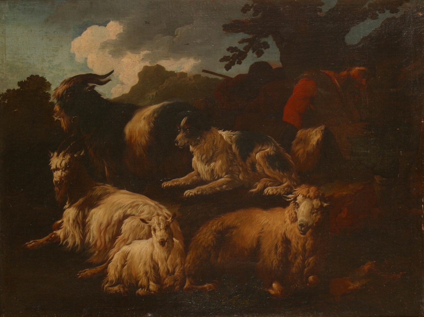 Troupeau de chèvres et de moutons avec un pâtre endormi_0