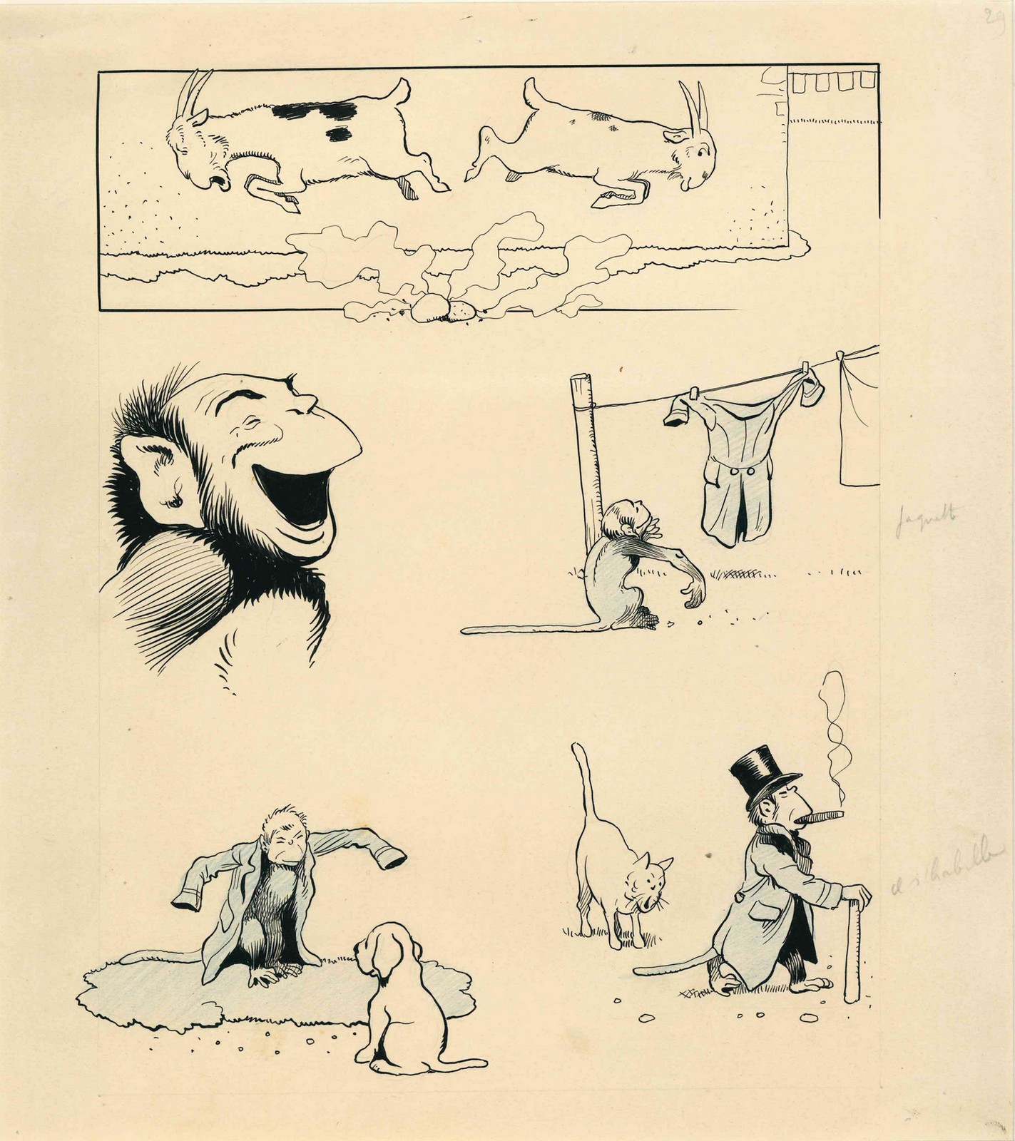 Chocolat ou le chimpanzé valet de chambre_0