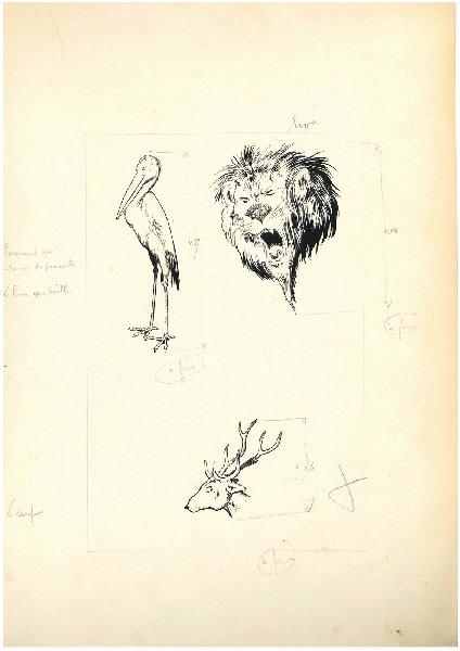 Le flamand qui marche sur des pincettes ; Le lion qui baille ; Le cerf, Benjamin Rabier, 4e quart 19e siècle, 1er quart 20e siècle
