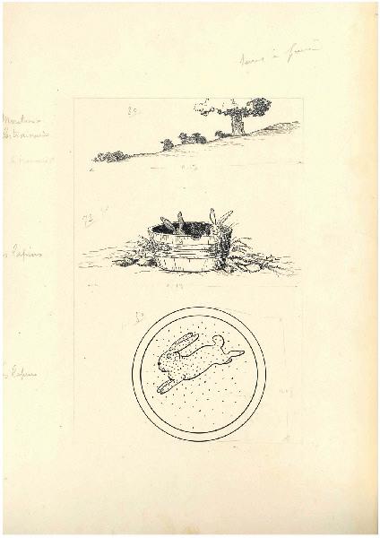 Moutons les traînards - Les lapins, Benjamin Rabier, 4e quart 19e siècle, 1er quart 20e siècle
