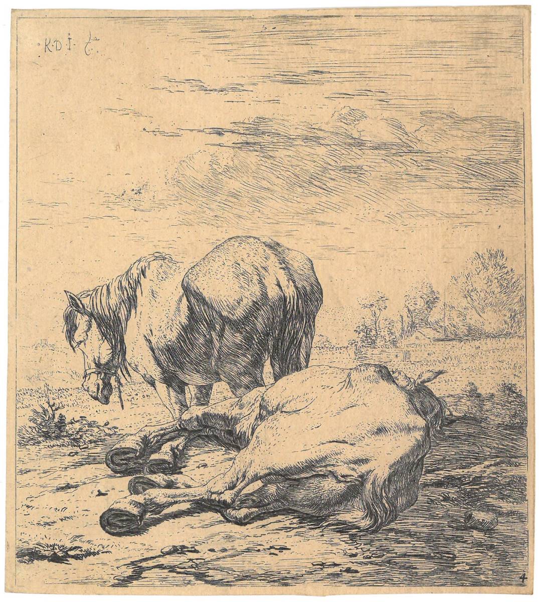 Deux chevaux, Karel Dujardin, 3e quart 17e siècle