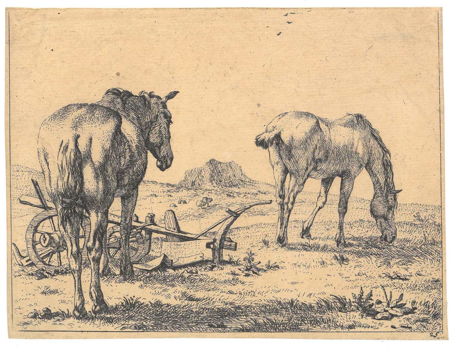 Deux chevaux près d'une charrue, Karel Dujardin, 3e quart 17e siècle