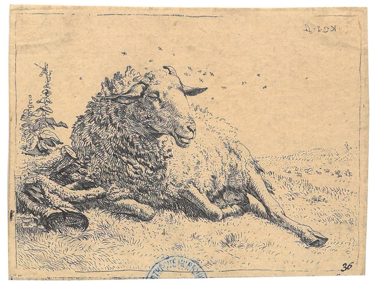 Mouton près d'un fagot, Karel Dujardin, 3e quart 17e siècle