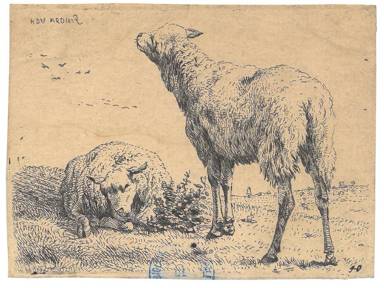 Deux moutons, Karel Dujardin, 3e quart 17e siècle