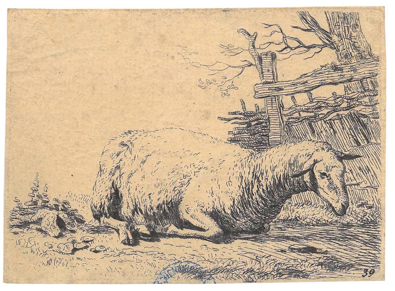 Mouton près d'une cloture ; Le Mouton près de la haie de paille, Karel Dujardin, 3e quart 17e siècle