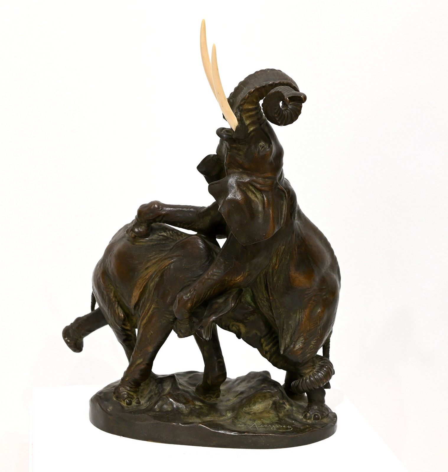 Groupe d'éléphants ; Elephants d'Afrique, Auguste Seysses, 4e quart 19e siècle, 1ère moitié 20e siècle