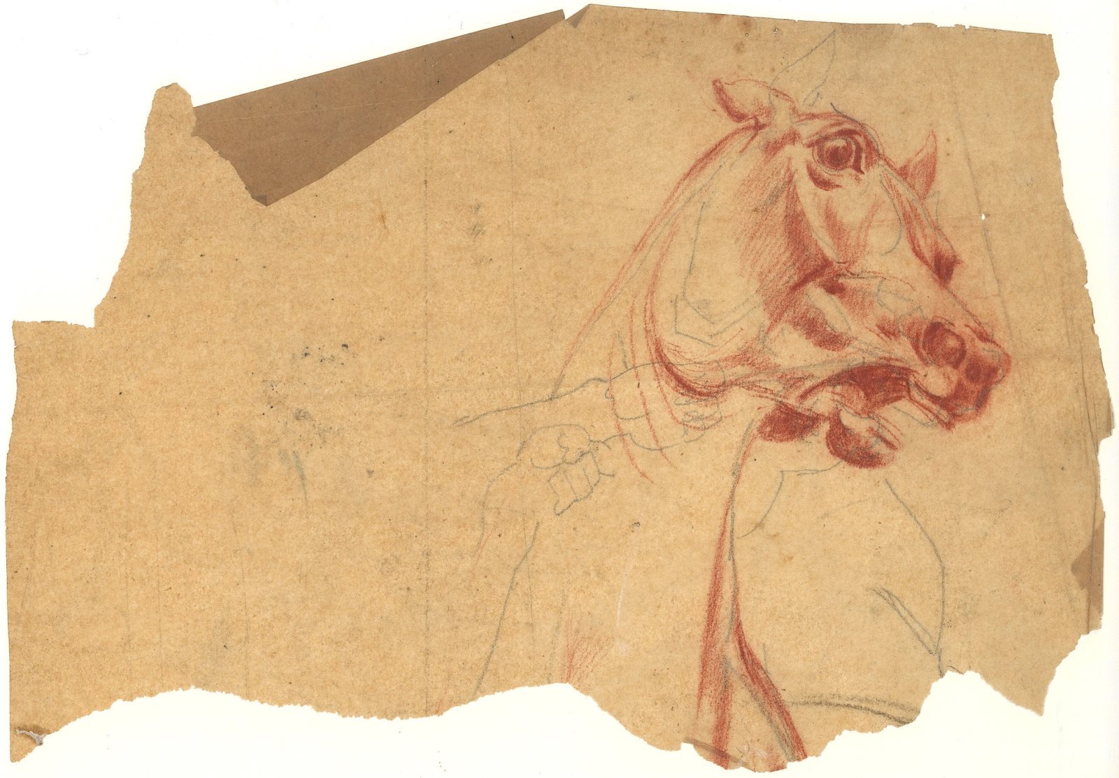 Etude d'une tête de cheval, Paul Baudry, 1861,1865
