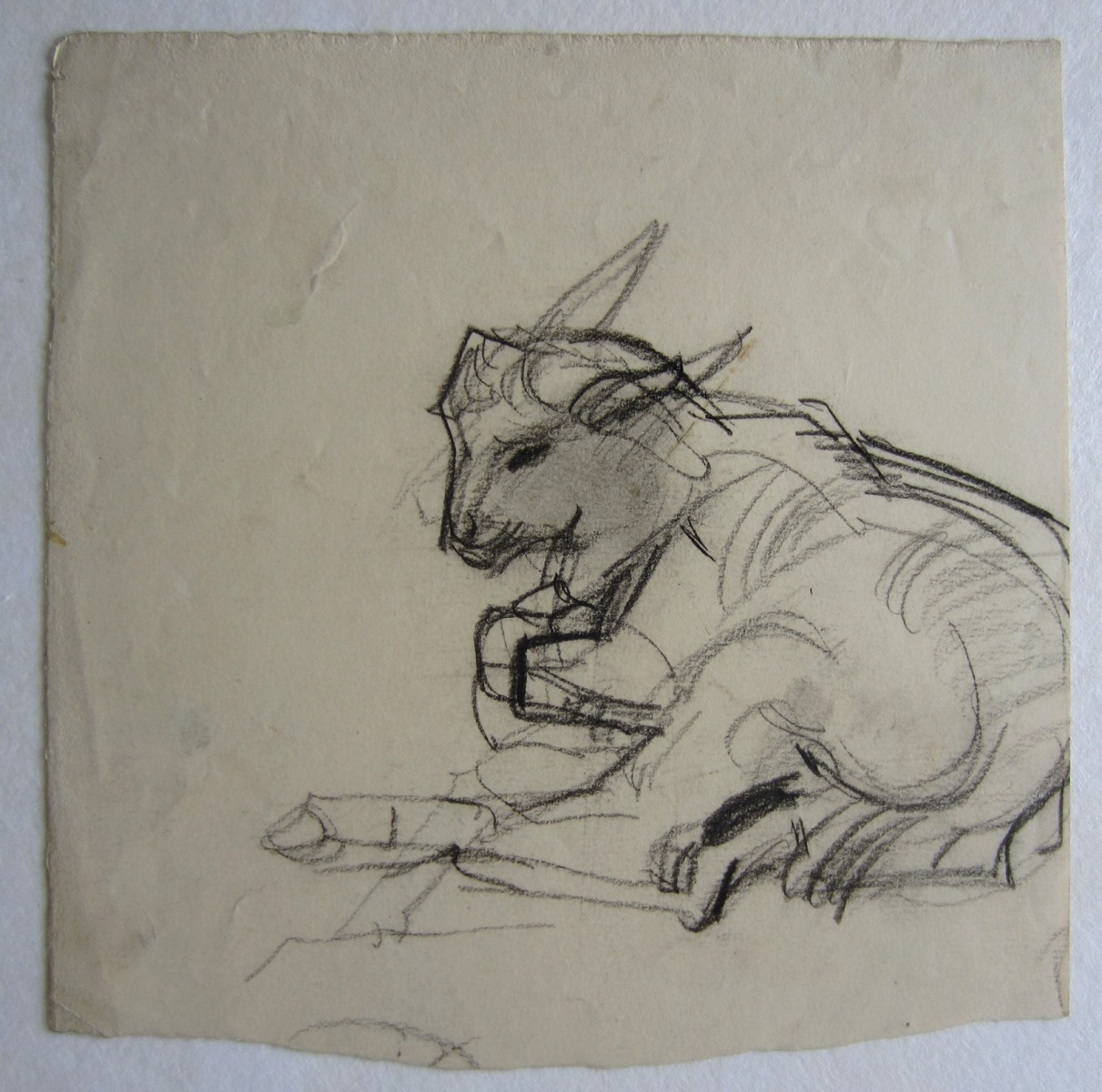 Vache couchée_0