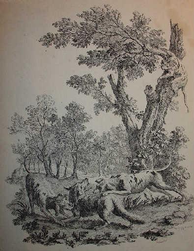 Le chat et le renard, IX, 14_0