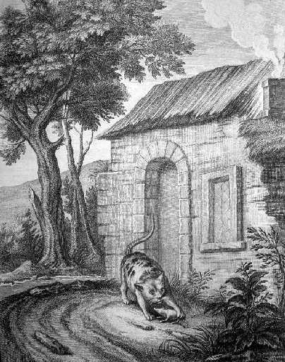 Le vieux chat et la jeune souris, XII, 5_0