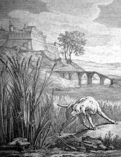 La perdrix, IX (Discours à Md De La Sablière)_0