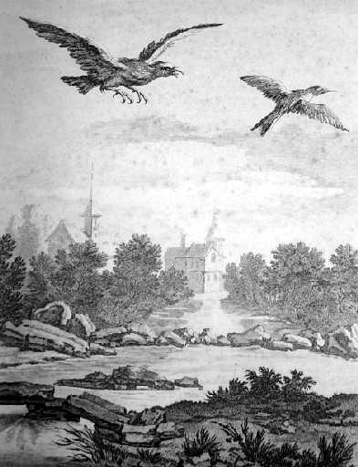 L'aigle et la pie, XII, 11_0