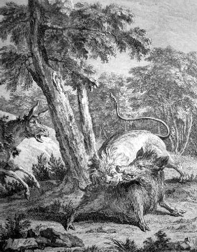 Le lion et l'âne chassant, II, 19_0