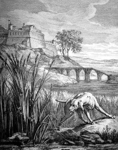 La perdrix, IX (Discours à Md De La Sablière, 1ere planche)_0