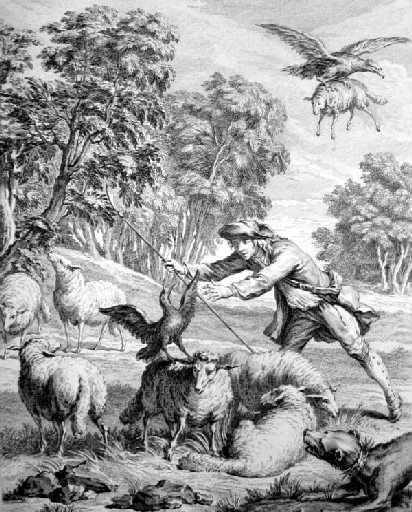 Le Corbeau voulant imiter l'Aigle, II, 16_0