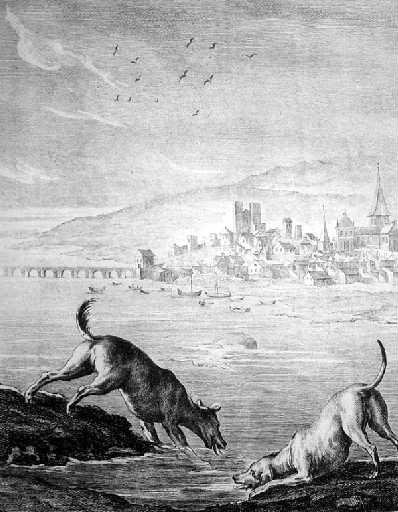 Les deux chien et l'âne mort, VIII, 25_0