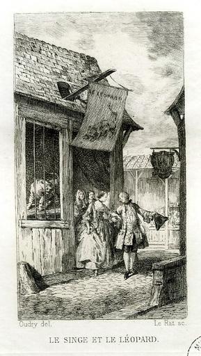 Le singe et le léopard, IX, 3_0