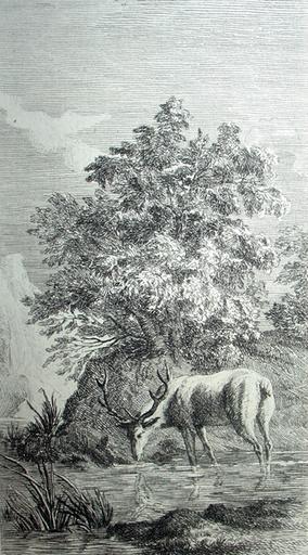 Le cerf se voyant dans l'eau, VI, 9_0