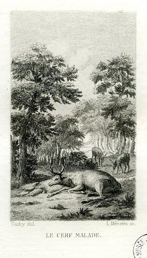 Le cerf malade, XII, 6_0