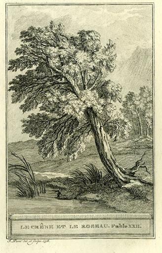 Le Chêne et le Roseau, I, 22_0