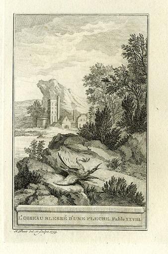 L'oiseau blessé d'une flèche, II, 6_0
