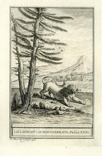 Le lion et le moucheron, III, 13_0