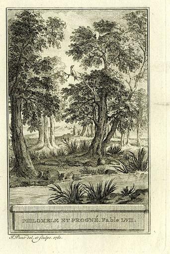 Philomèle et Progné, III, 15_0