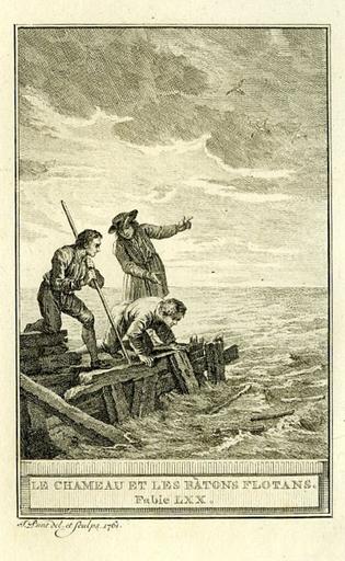 Le chameau et les bâtons flottants, IV, 10_0