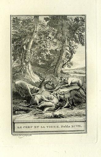 Le cerf et la vigne, V, 15_0