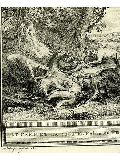 Le cerf et la vigne, V, 15_1