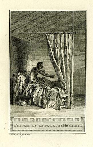L'Homme et la Puce, VIII, 5_0