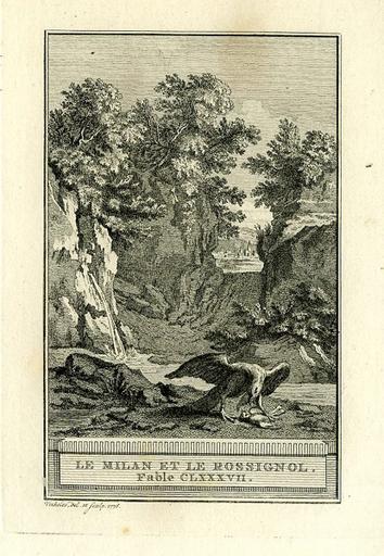 Le milan et le rossignol, IX, 18_0