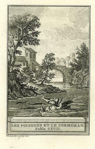 Les poissons et le cormoran, X, 3_0
