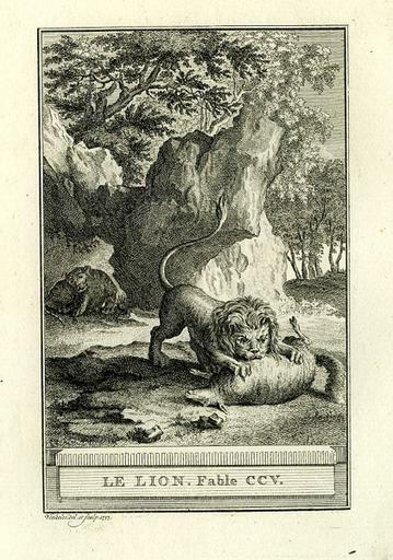 Le lion, XI, 1_0