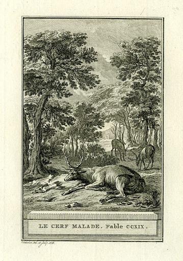 Le cerf malade, XII, 6_0