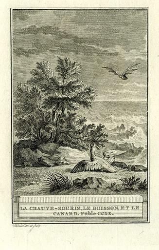 La chauve-souris, le buisson et le canard, XII, 7_0