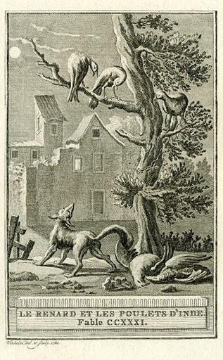 Le renard et les poulets d'Inde, XII, 18_0
