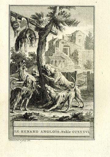 Le renard anglais, XII, 23_0
