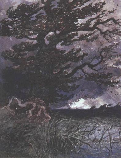 Le Chêne et le Roseau, I, 22_0