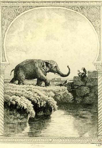 L'Eléphant et le Singe de Jupiter, XII, 21_0