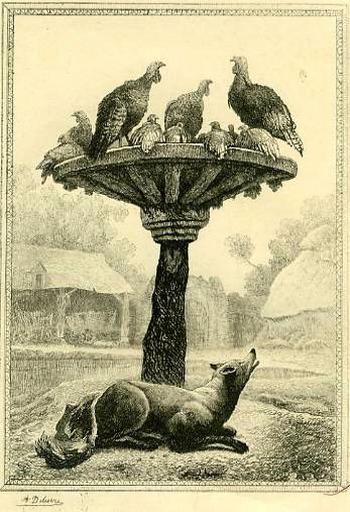 Le Renard et les Poulets d'Inde, XII, 18_0