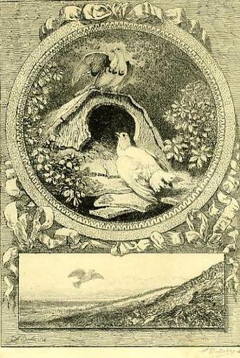 Les Deux Pigeons, IX, 2_0