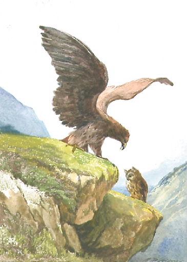 L'Aigle et le Hibou, V, 18_0