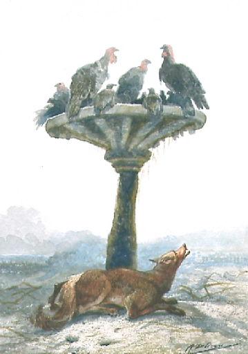 Le Renard et les Poulets d'Inde, XII, 18_0
