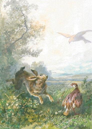 Le Lièvre et la Perdrix, V, 17_0