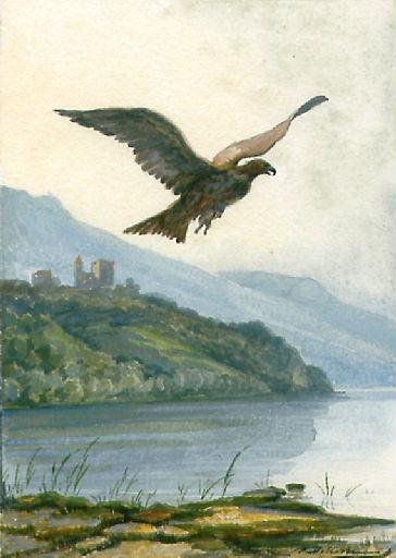 L'Aigle et l'Escarbot, II, 8_0